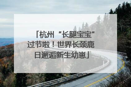 杭州“长腿宝宝”过节啦！世界长颈鹿日邂逅新生幼崽