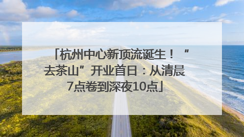 杭州中心新顶流诞生！“去茶山”开业首日：从清晨7点卷到深夜10点