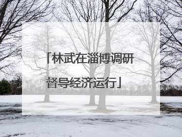 林武在淄博调研督导经济运行