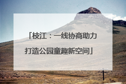 枝江：一线协商助力打造公园童趣新空间