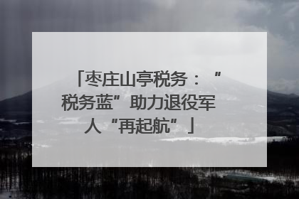 枣庄山亭税务：“税务蓝”助力退役军人“再起航”