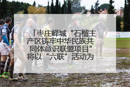 枣庄峄城“石榴主产区铸牢中华民族共同体意识联盟项目”将以“六联”活动为抓手深化品牌建设