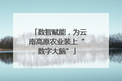 数智赋能，为云南高原农业装上“数字大脑”