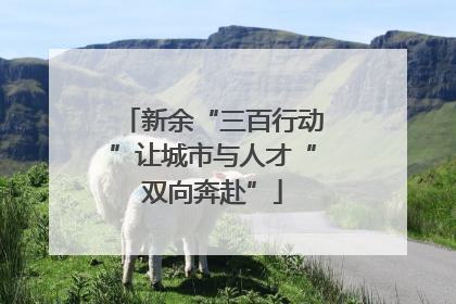新余“三百行动”让城市与人才“双向奔赴”