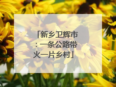 新乡卫辉市：一条公路带火一片乡村
