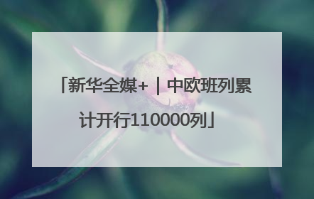 新华全媒+｜中欧班列累计开行110000列