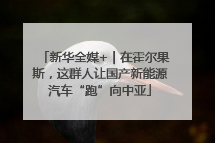 新华全媒+｜在霍尔果斯，这群人让国产新能源汽车“跑”向中亚