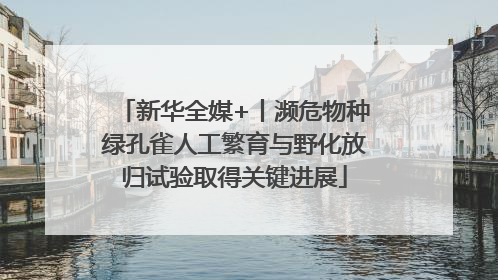 新华全媒+丨濒危物种绿孔雀人工繁育与野化放归试验取得关键进展