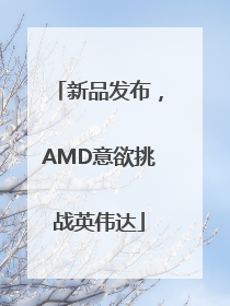 新品发布，AMD意欲挑战英伟达