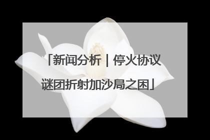 新闻分析｜停火协议谜团折射加沙局之困