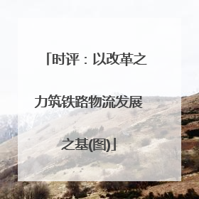 时评：以改革之力筑铁路物流发展之基(图)