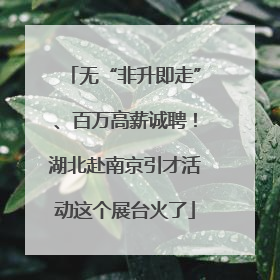 无“非升即走”、百万高薪诚聘！湖北赴南京引才活动这个展台火了