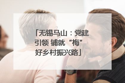 无锡马山：党建引领 铺就“梅”好乡村振兴路