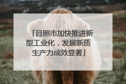 日照市加快推进新型工业化，发展新质生产力成效显著