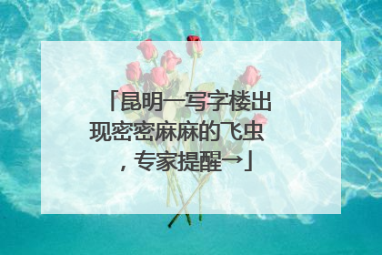 昆明一写字楼出现密密麻麻的飞虫，专家提醒→