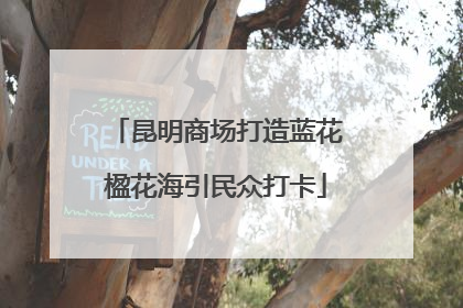 昆明商场打造蓝花楹花海引民众打卡