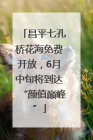 昌平七孔桥花海免费开放，6月中旬将到达“颜值巅峰”