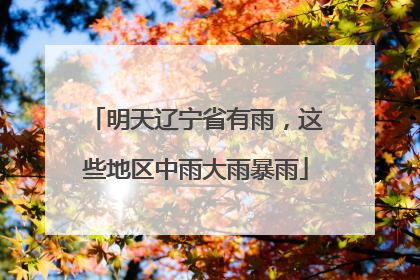 明天辽宁省有雨，这些地区中雨大雨暴雨