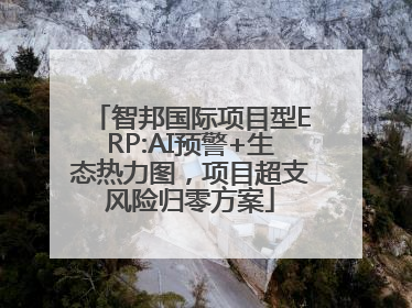 智邦国际项目型ERP:AI预警+生态热力图，项目超支风险归零方案