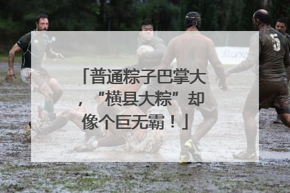 普通粽子巴掌大，“横县大粽”却像个巨无霸！