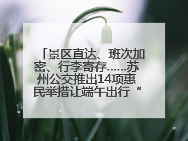 景区直达、班次加密、行李寄存……苏州公交推出14项惠民举措让端午出行“路路顺”