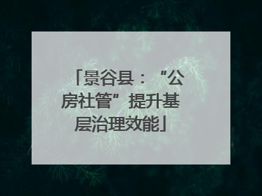 景谷县：“公房社管”提升基层治理效能