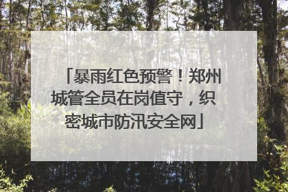 暴雨红色预警！郑州城管全员在岗值守，织密城市防汛安全网