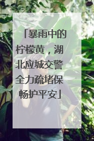 暴雨中的柠檬黄，湖北应城交警全力疏堵保畅护平安