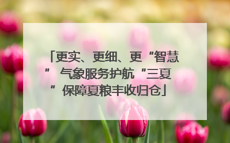 更实、更细、更“智慧” 气象服务护航“三夏”保障夏粮丰收归仓