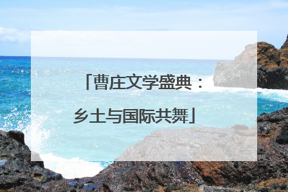 曹庄文学盛典：乡土与国际共舞