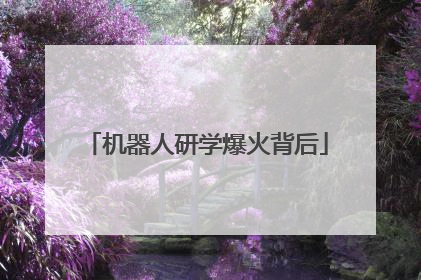 机器人研学爆火背后