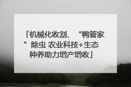 机械化收割、“鸭管家”除虫 农业科技+生态种养助力增产增收