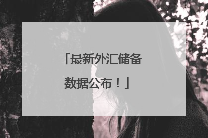 最新外汇储备数据公布！