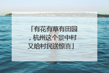 有花有草有田园，杭州这个景中村又给村民送惊喜