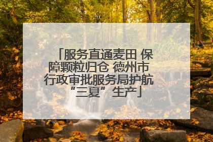 服务直通麦田 保障颗粒归仓 德州市行政审批服务局护航“三夏”生产