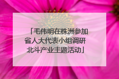 毛伟明在株洲参加省人大代表小组调研北斗产业主题活动