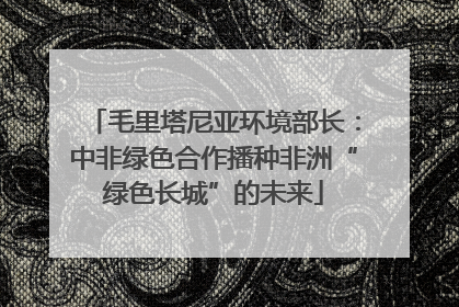 毛里塔尼亚环境部长：中非绿色合作播种非洲“绿色长城”的未来