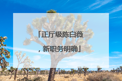 正厅级陈白薇，新职务明确