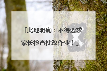 此地明确：不得要求家长检查批改作业！
