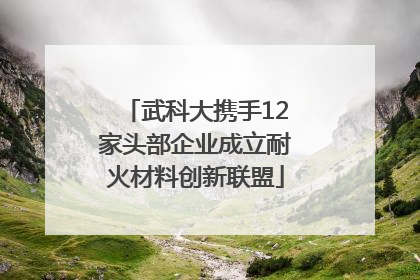武科大携手12家头部企业成立耐火材料创新联盟