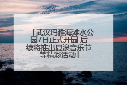 武汉玛雅海滩水公园7日正式开园 后续将推出夏浪音乐节等精彩活动