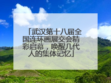 武汉第十八届全国连环画展交会精彩启幕，唤醒几代人的集体记忆