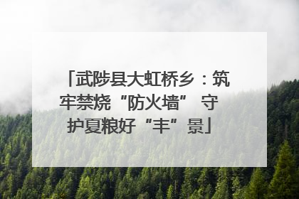武陟县大虹桥乡：筑牢禁烧“防火墙” 守护夏粮好“丰”景