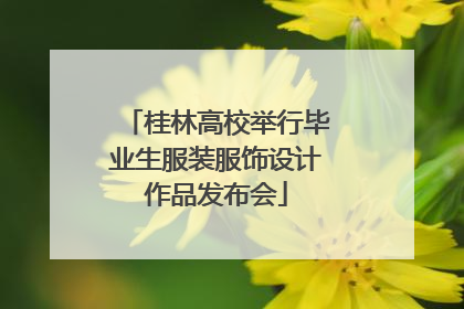 桂林高校举行毕业生服装服饰设计作品发布会