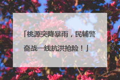 桃源突降暴雨，民辅警奋战一线抗洪抢险！