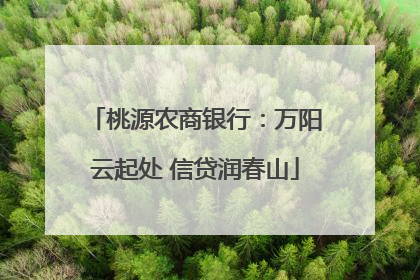 桃源农商银行：万阳云起处 信贷润春山