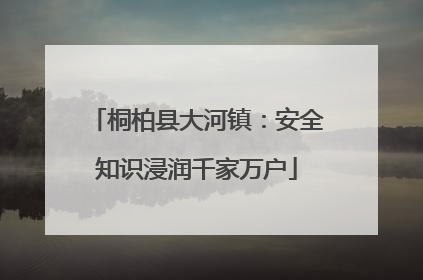 桐柏县大河镇：安全知识浸润千家万户