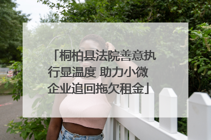 桐柏县法院善意执行显温度 助力小微企业追回拖欠租金