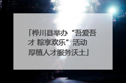 桦川县举办“吾爱吾才 粽享欢乐”活动 厚植人才服务沃土