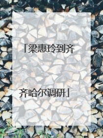 梁惠玲到齐齐哈尔调研